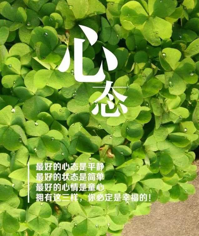 早安語句勵志圖片:只有努力不會背叛你,加油吧!