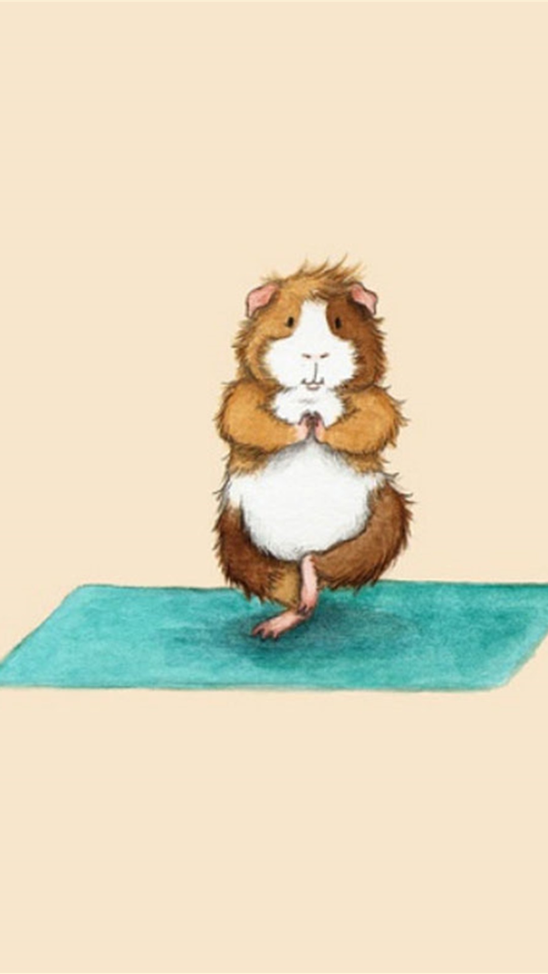 萌趣可爱瑜伽小动物手机壁纸,分辨率1080x1920