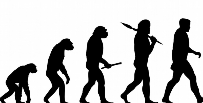 猿猴进化到人的图片女图片