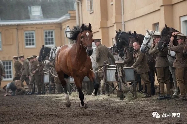 电影战马 baijiahao.baidu.com