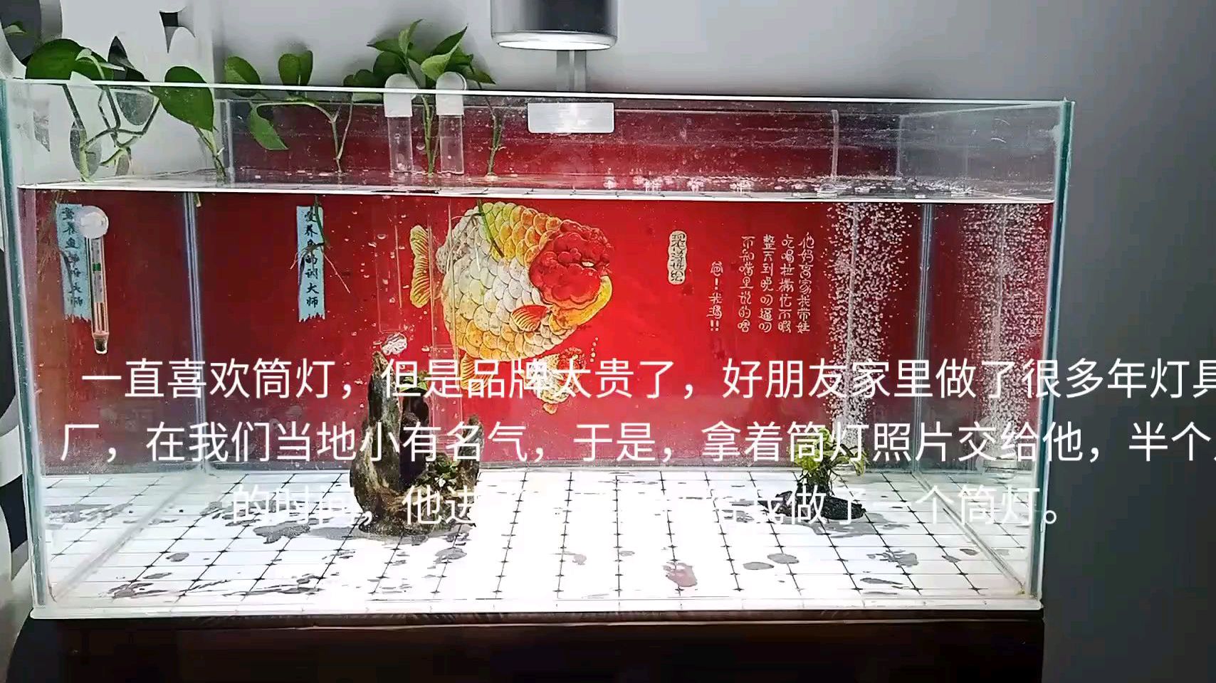 鱼缸用筒灯品牌的太贵!找灯具厂的朋友给做了一个,非常完美