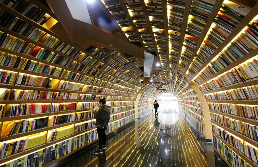 其实那个位置的书并不高,在图书馆中还专门的给那