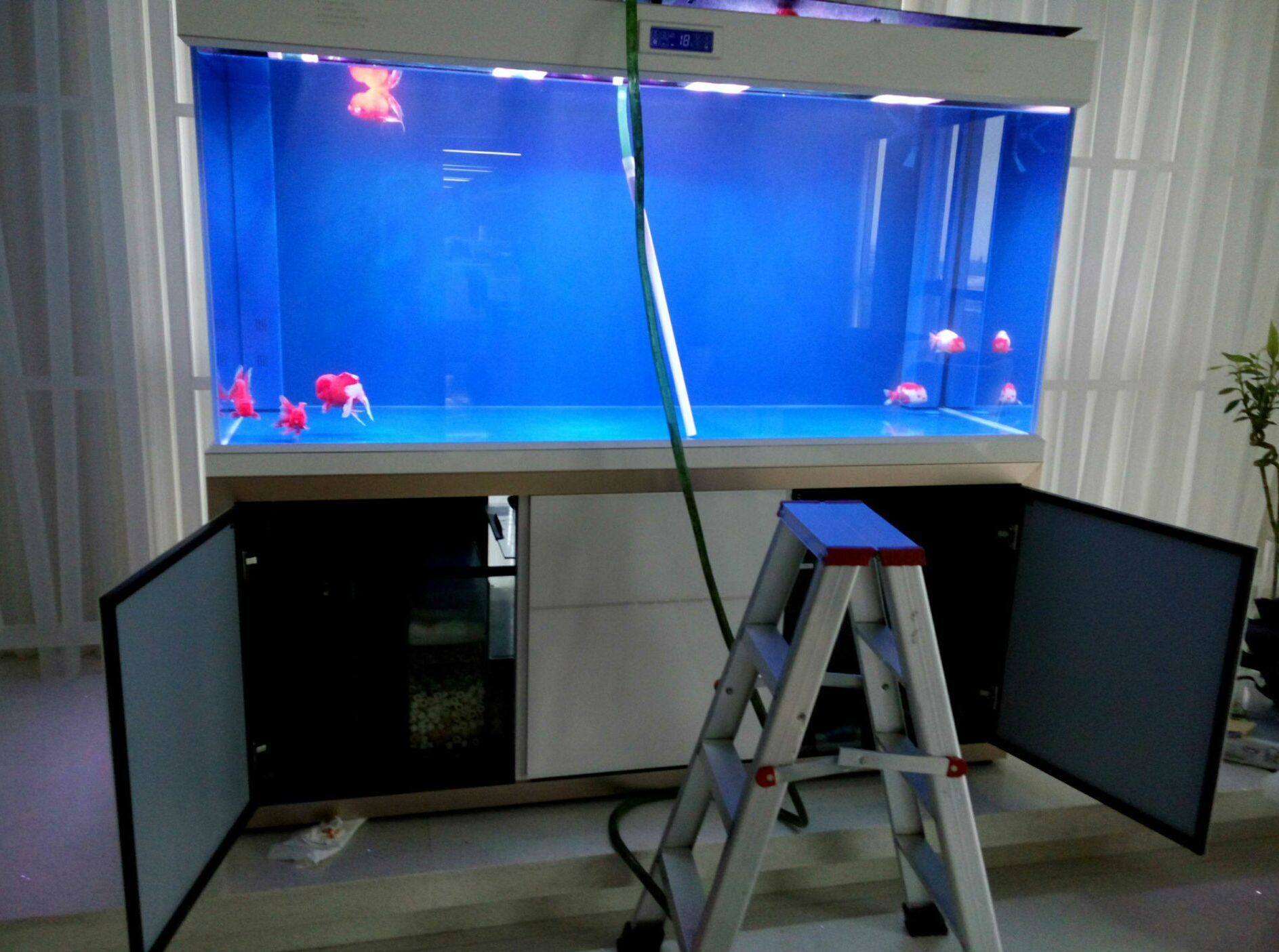 鱼缸过滤棉价格是多少? - 2020年最新商品信息聚合专区 - 百度爱采购