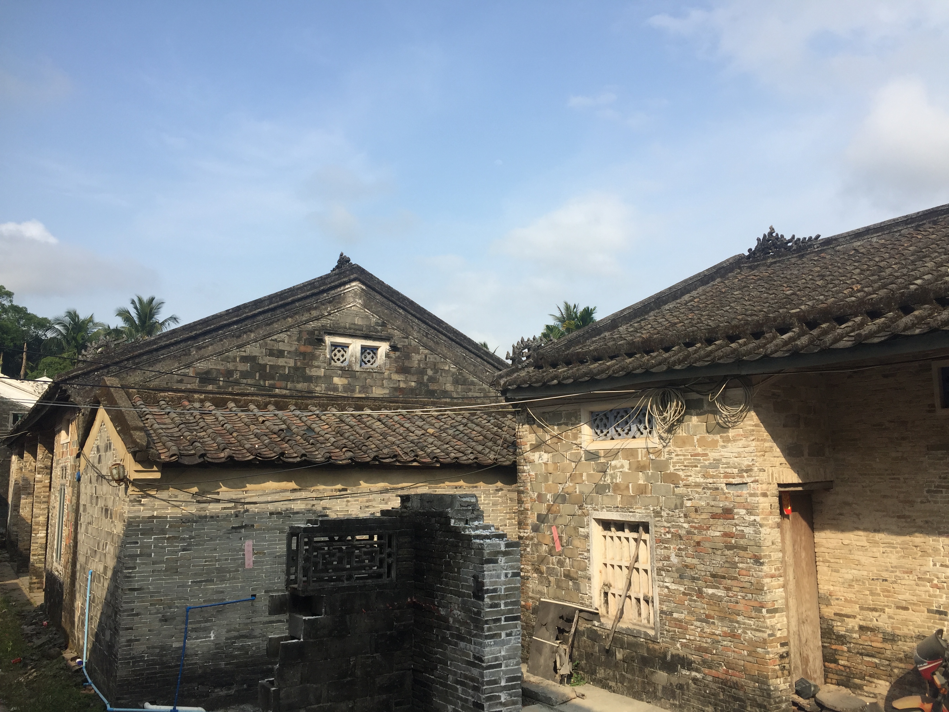 我家是在琼海龙江镇的蒙养村,一直以来农业经济作物是以橡胶,槟榔为主