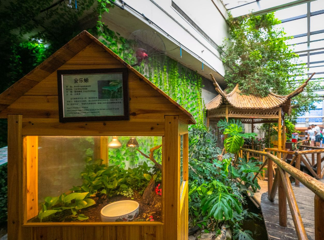 国内首批活体昆虫展示馆之一,大自然野生昆虫馆