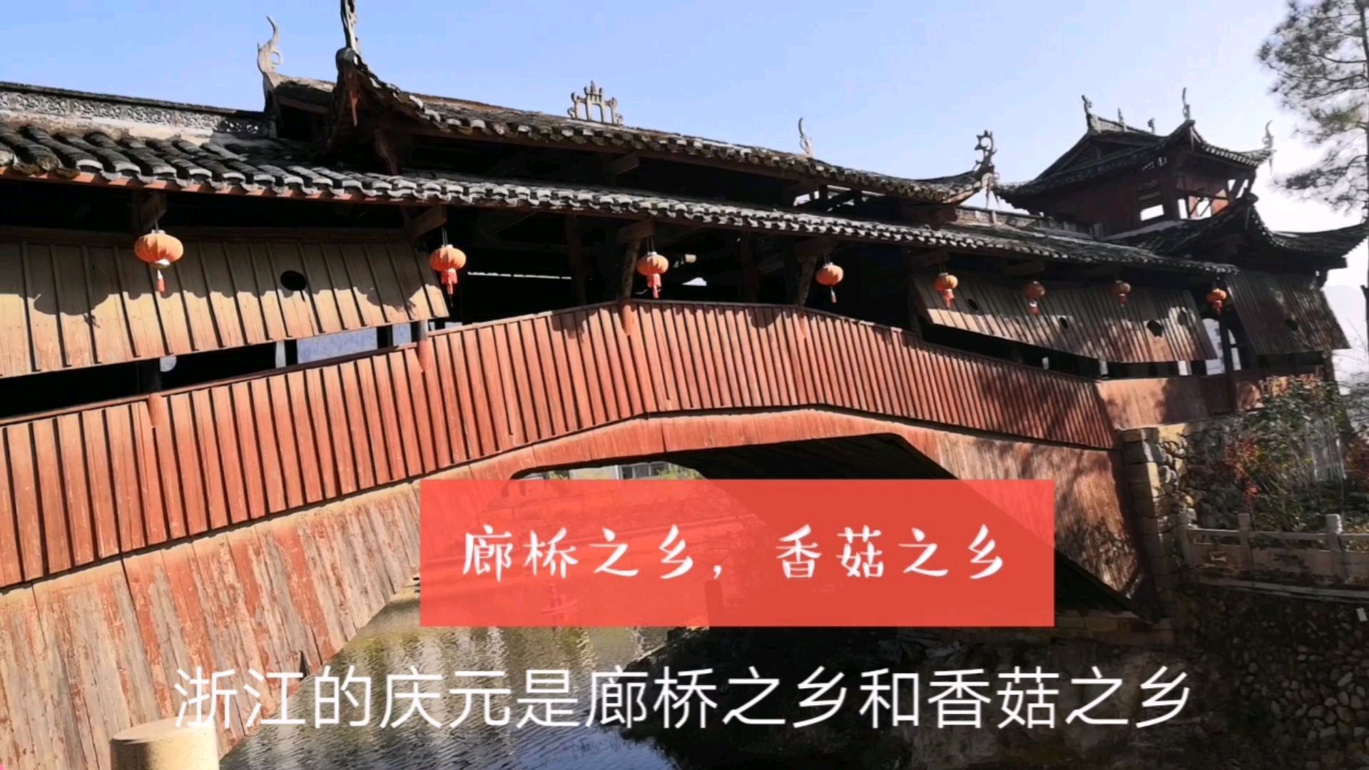 自驾旅行,浙江庆元廊桥之乡,早上吃米饭,中午吃炒黄粿