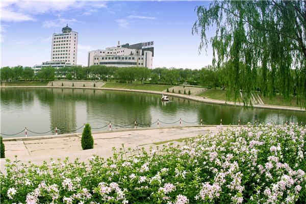 关外第一镇:海城西柳镇