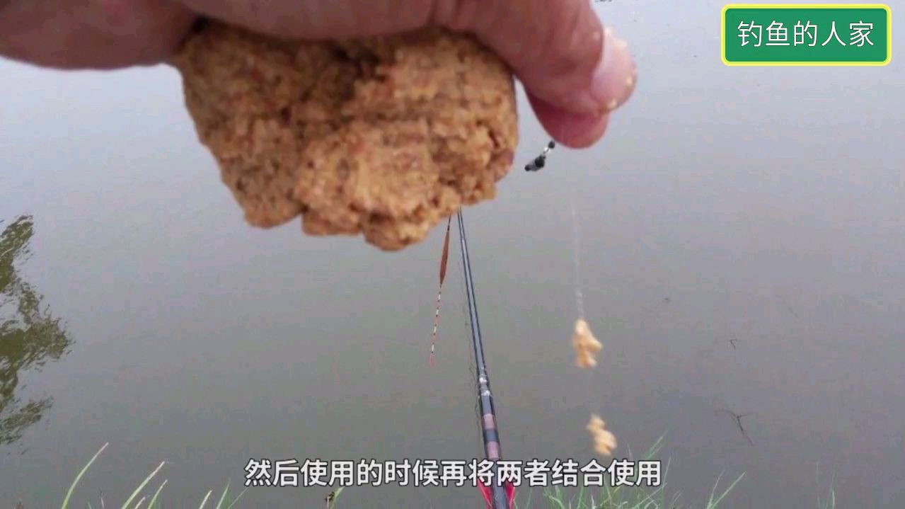 肉夹馍饵钓鱼,拉饵诱钓的制作方法,是春季气温较低时的最佳钓饵