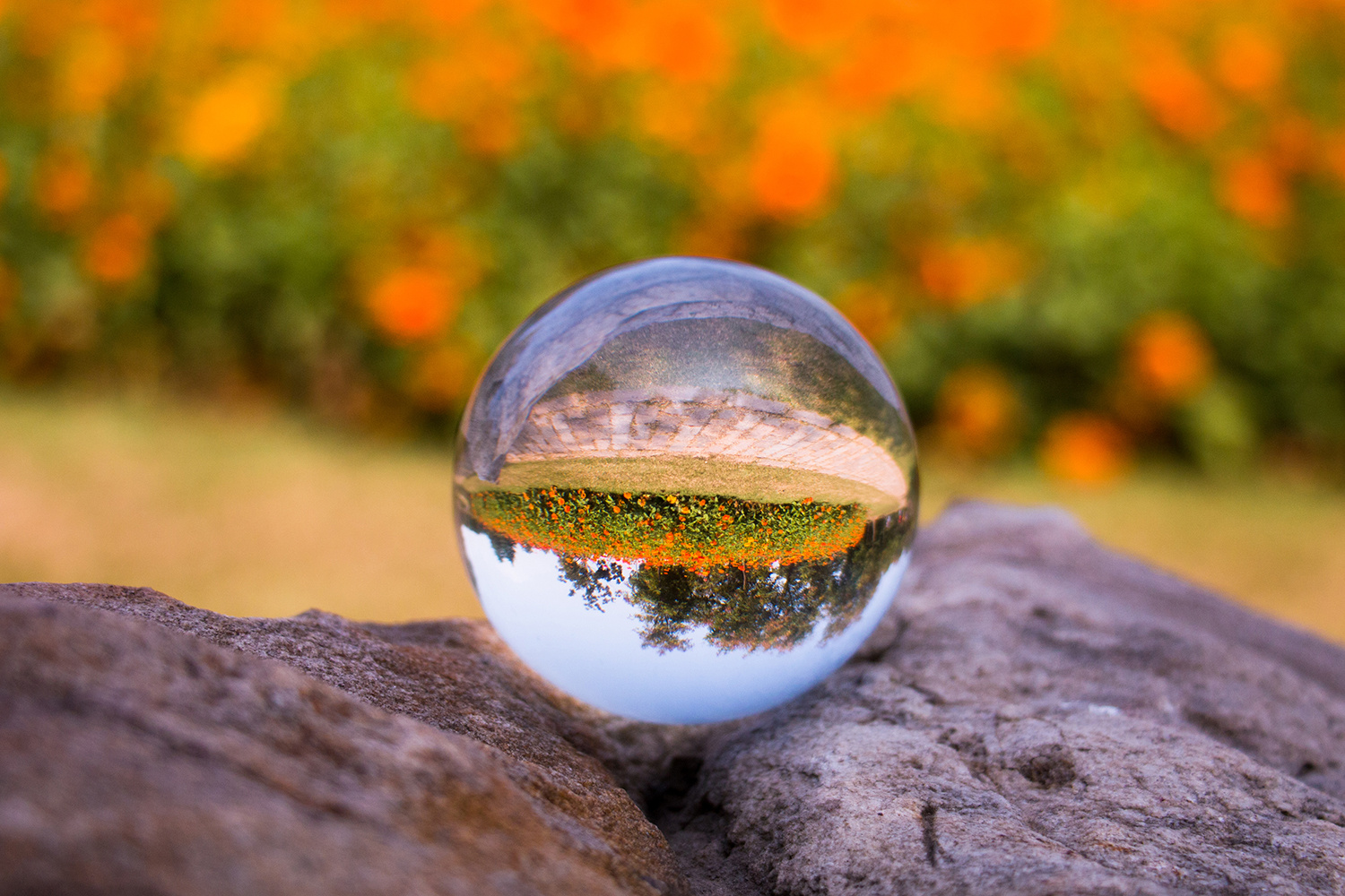 成年人的世界没有直白的回答,四个方法,让你听懂潜台词