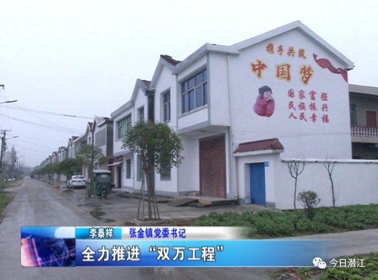 张金镇:转型升级重振雄风,高质量打造西片特色产业聚集区