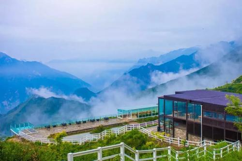 四川阿坝州浮云牧场,网红打卡地,清晨醒来像身处云海之中!