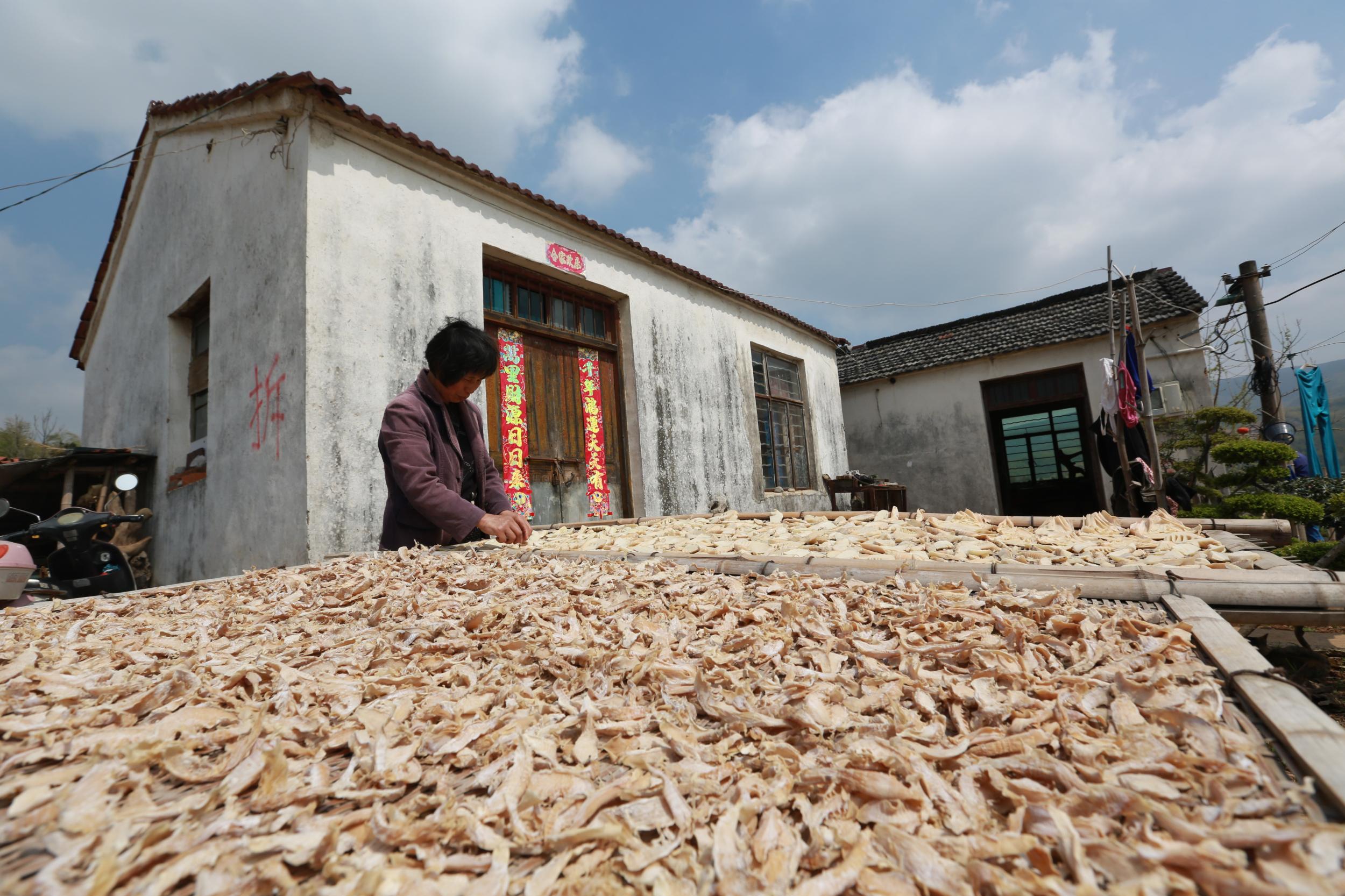 笋干- 热门商品专区