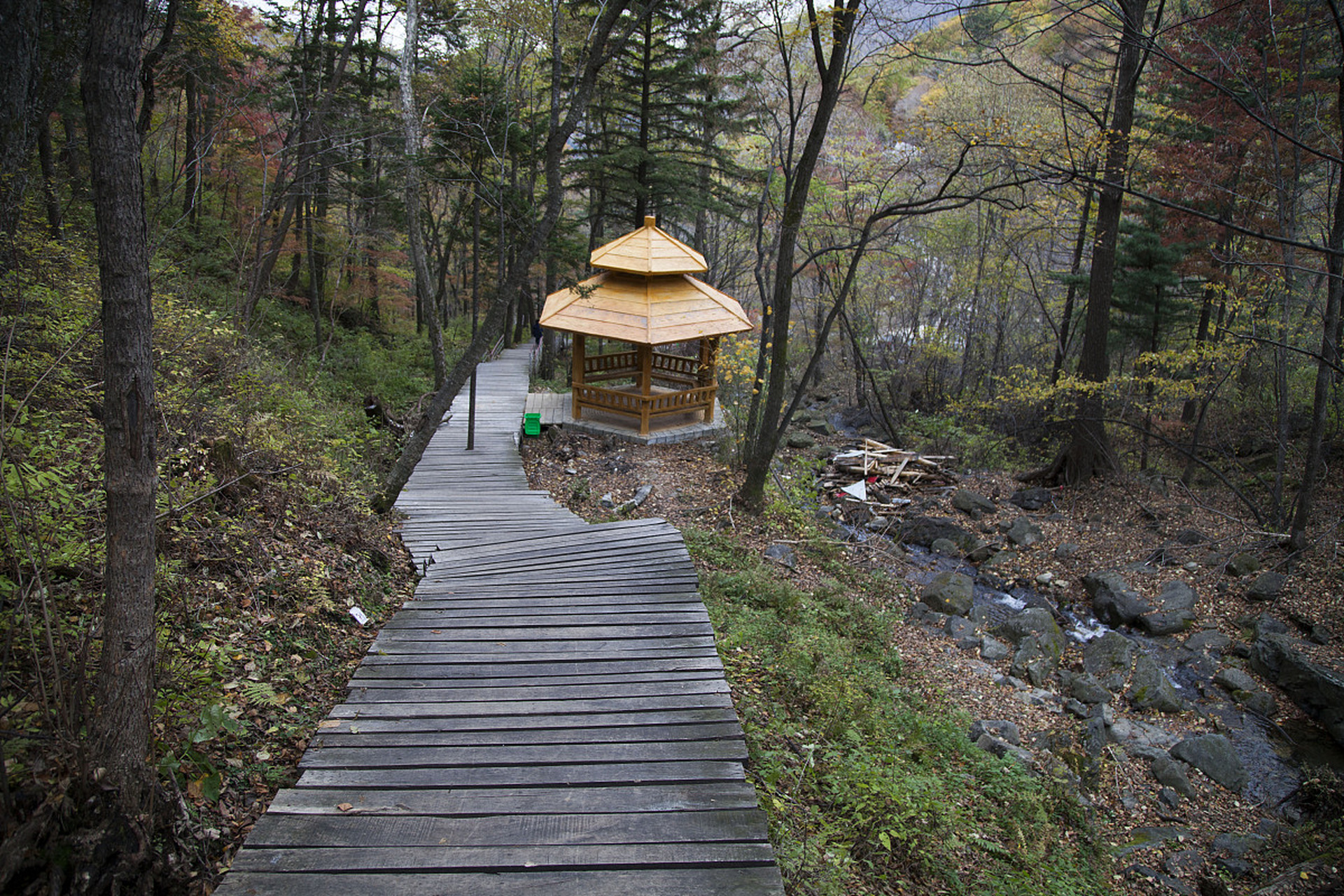 陕西旅游全攻略# 金粟山森林公园,这颗璀璨的明珠,镶嵌在富平县城