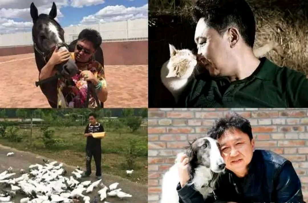 《于谦动物园》物我之同,心灵之际,找寻多彩的,真实的生活世界