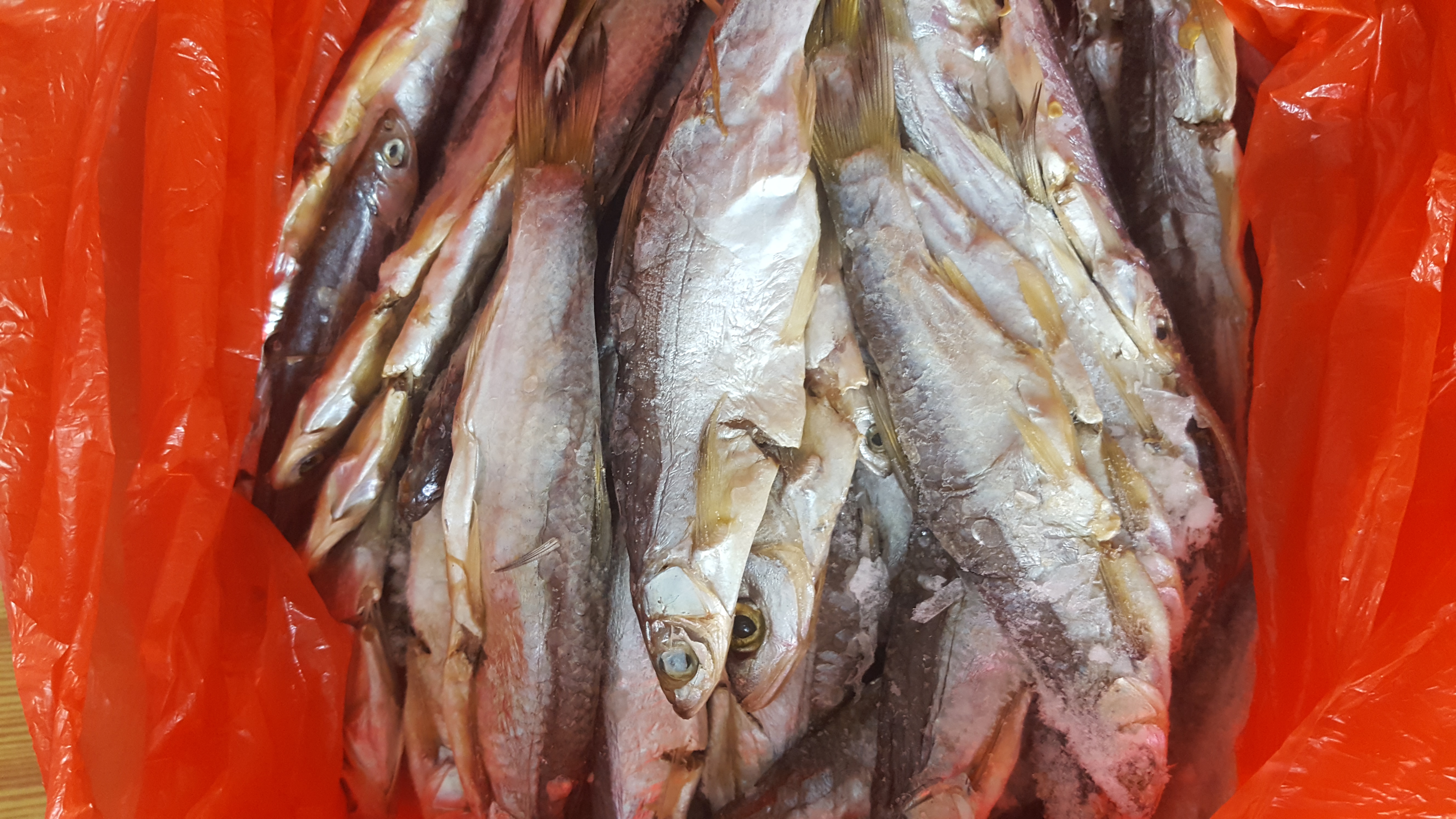 这种野生的黄尾鱼,无论怎么做都好吃