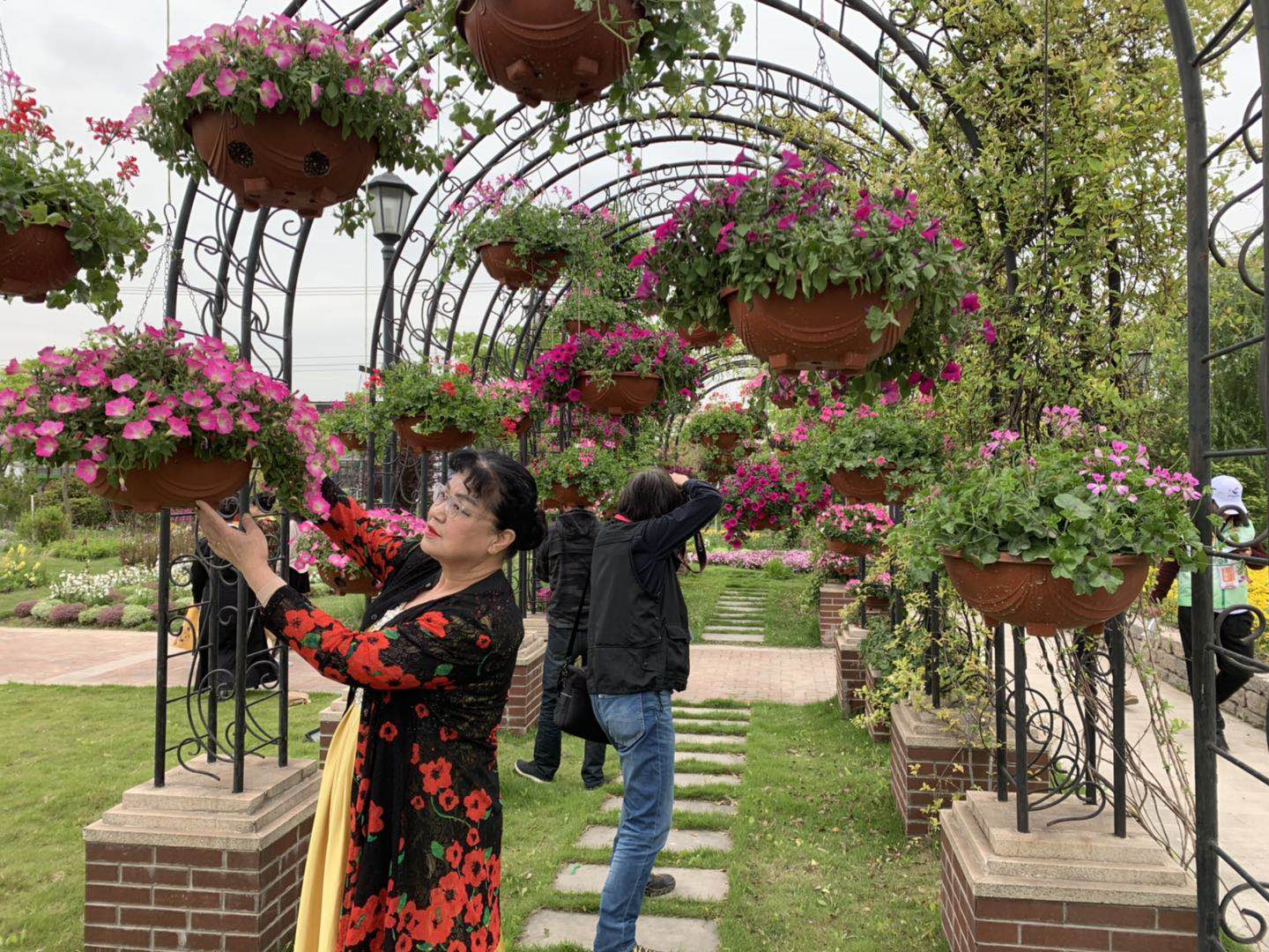 月浦花卉基地图片