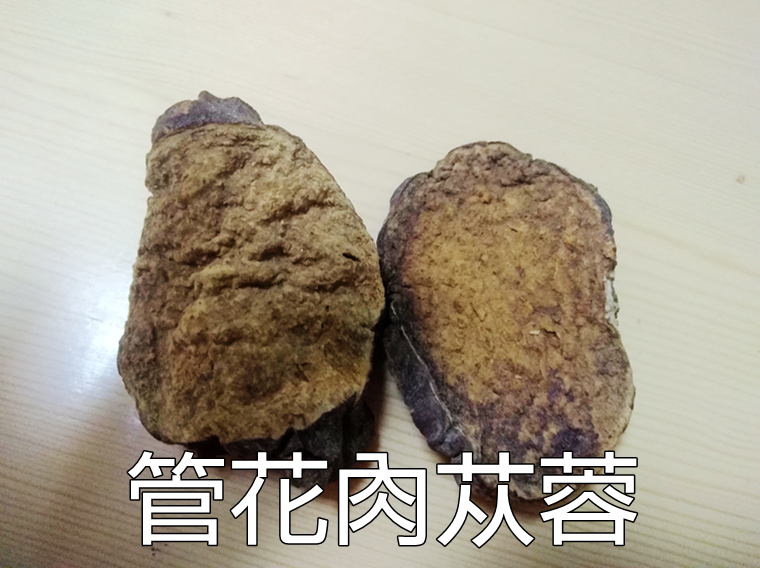 新疆管花肉蓯蓉和內蒙古荒漠肉蓯蓉切片怎麼區分鑑別?