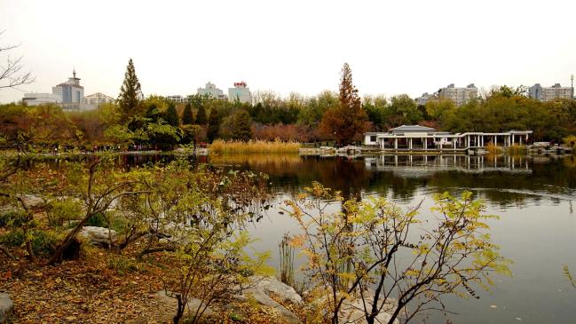 北京有個玉淵潭公園,景色宜人!