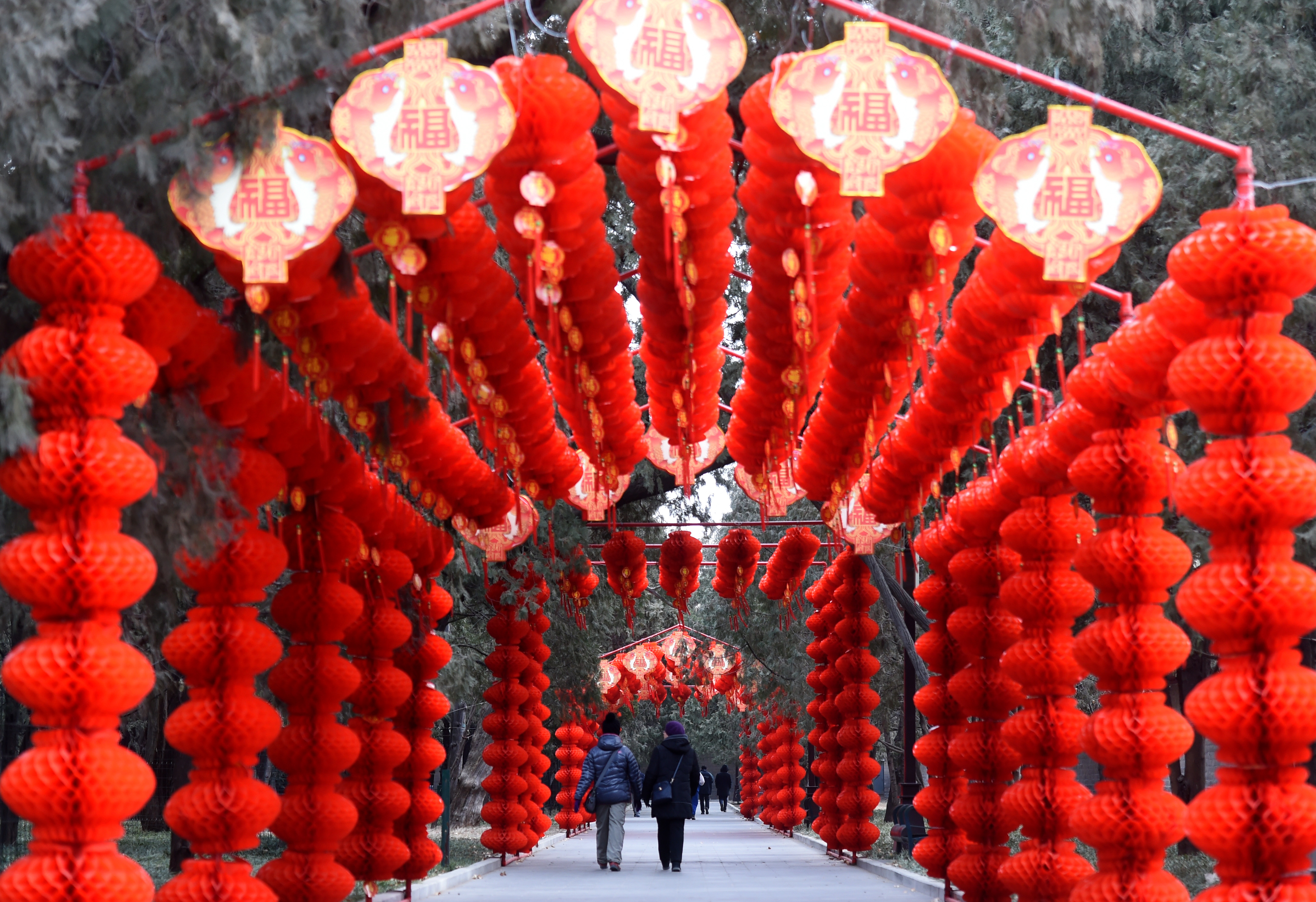 (社会)(3)北京地坛:张灯结彩迎庙会