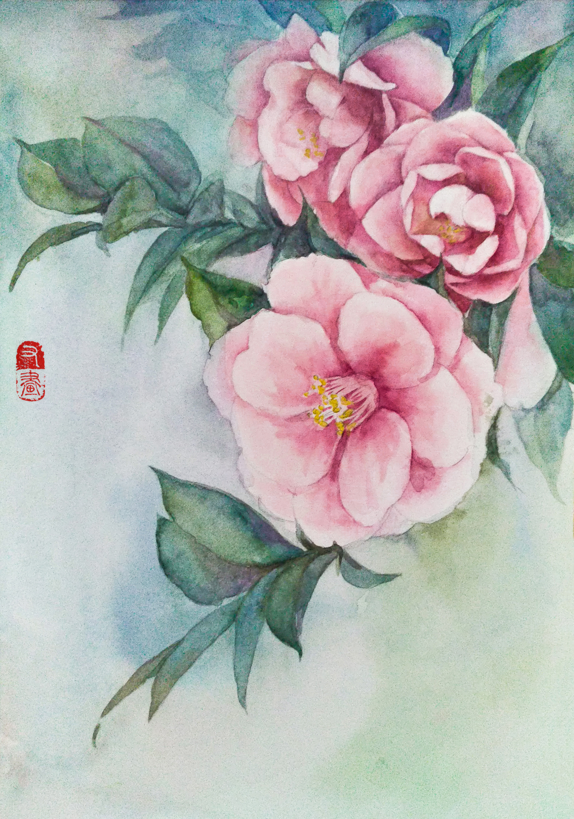 送你一朵山茶花,红红的好像天上的太阳