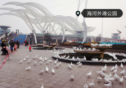 天津最可怜的塘沽外滩,以看海拉客,"景点"境况令游客