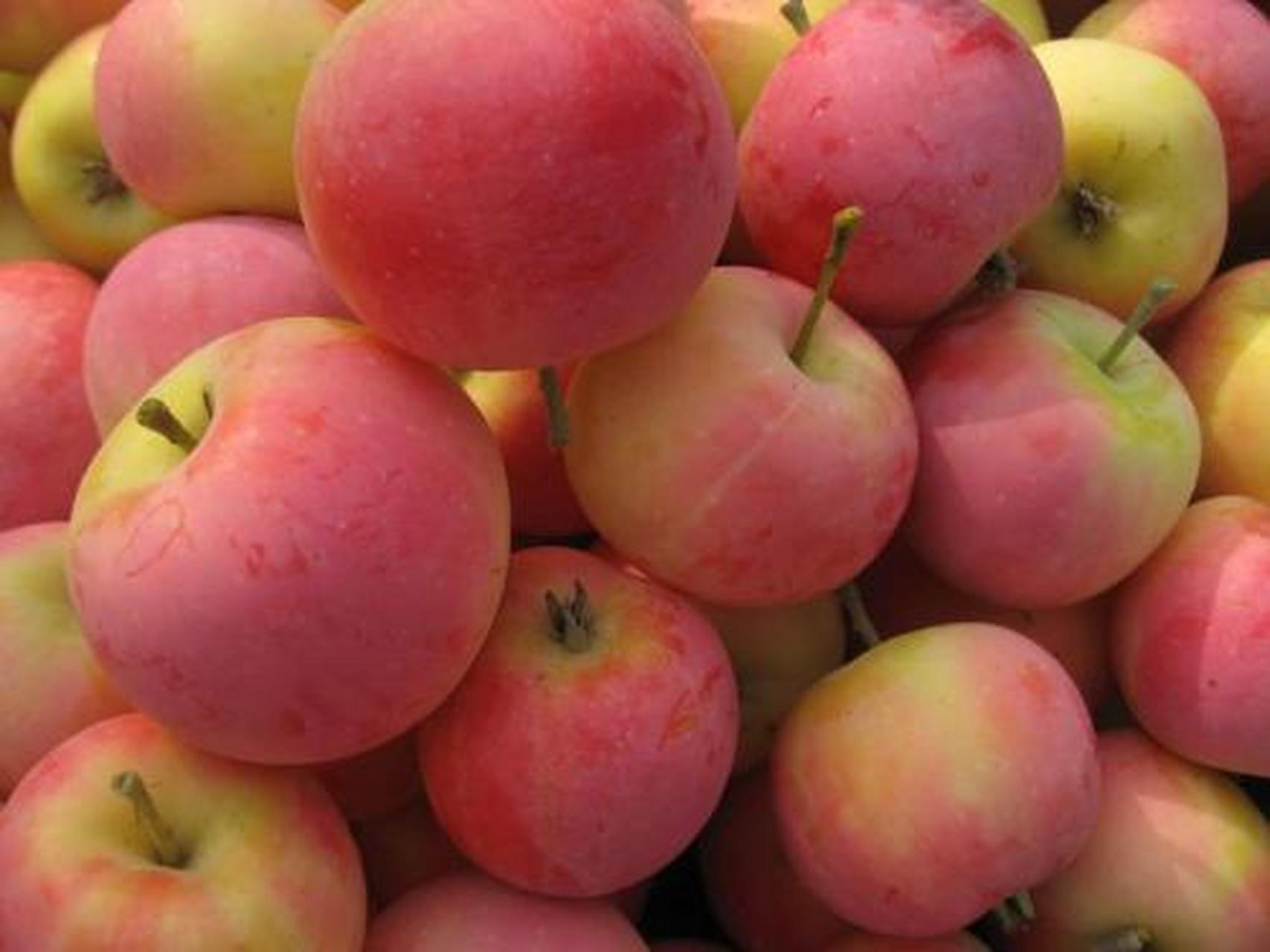 百城百味#【滁州市美食】来安花红:安徽省滁州市来安县特产.