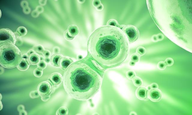 生活中常吃点它,或许会收获这几个意想不到的好处,不妨一试