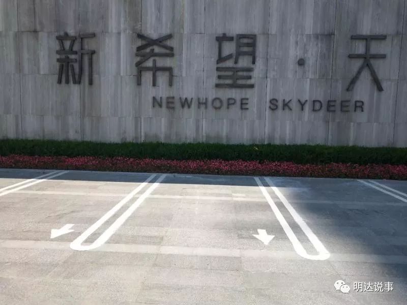 瓯江路新型弧状停车位呆萌上线,能停吗?放心停!