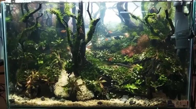 展缸- 优质问答专区