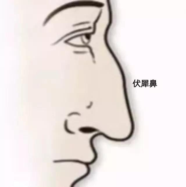 富贵在鼻,拥有这四种鼻子的人,财运发达事业有成!看看有你吗?