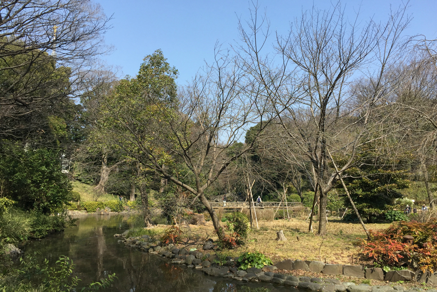 日本东京之旅——有栖川宫纪念公园