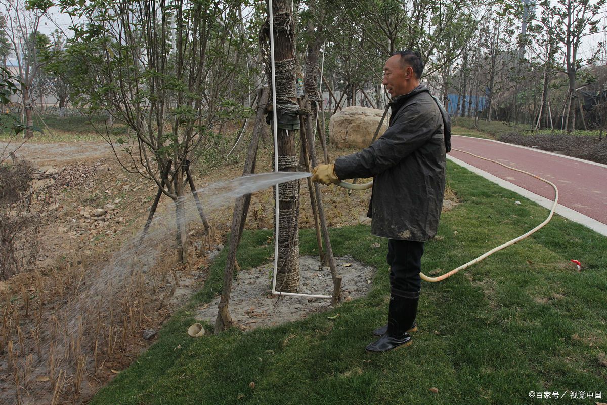 浇水- 热门商品专区