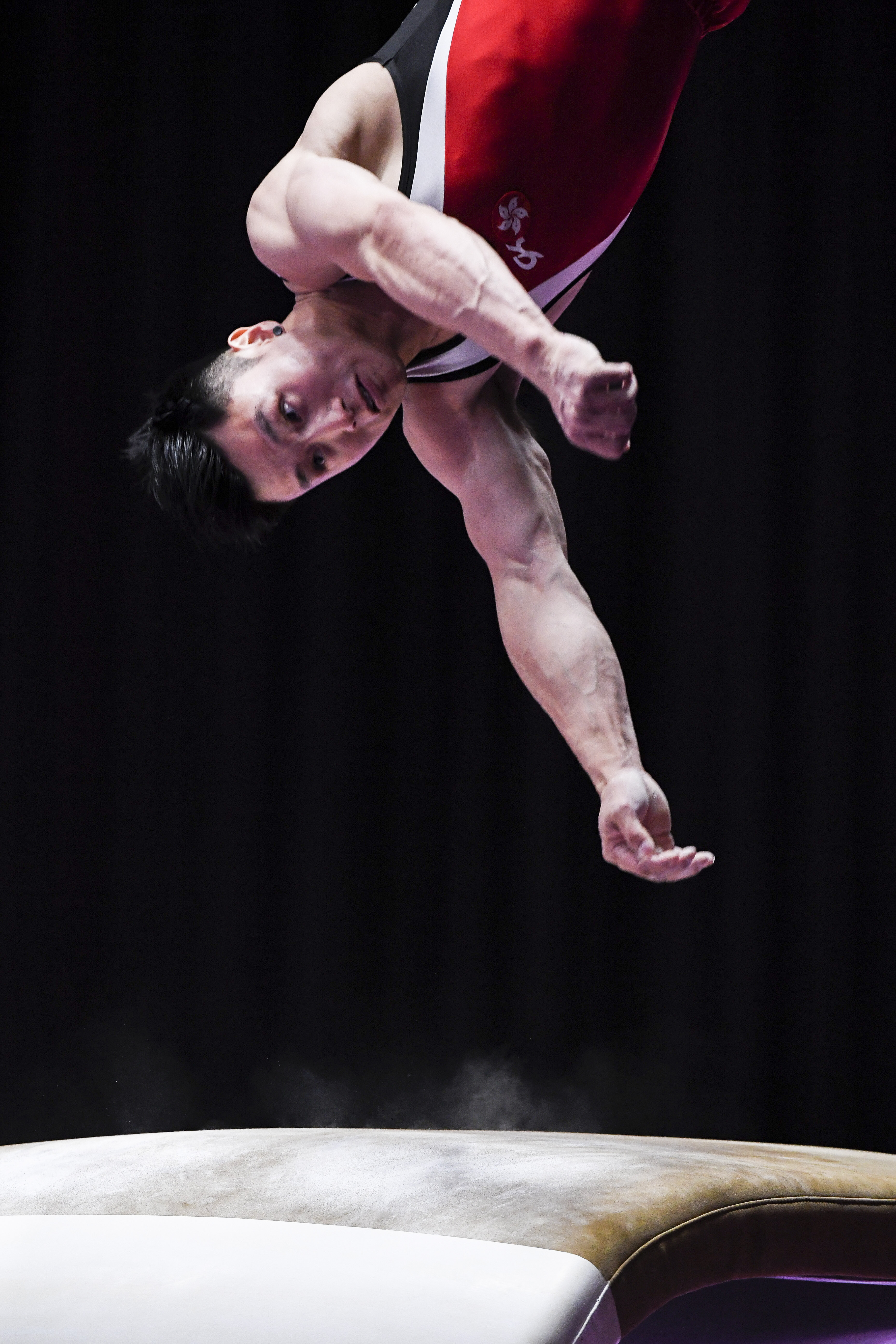 体操——中国香港选手石伟雄夺得男子跳马冠军(3)