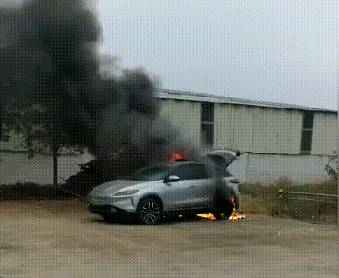 484_398gif 动态图 动图