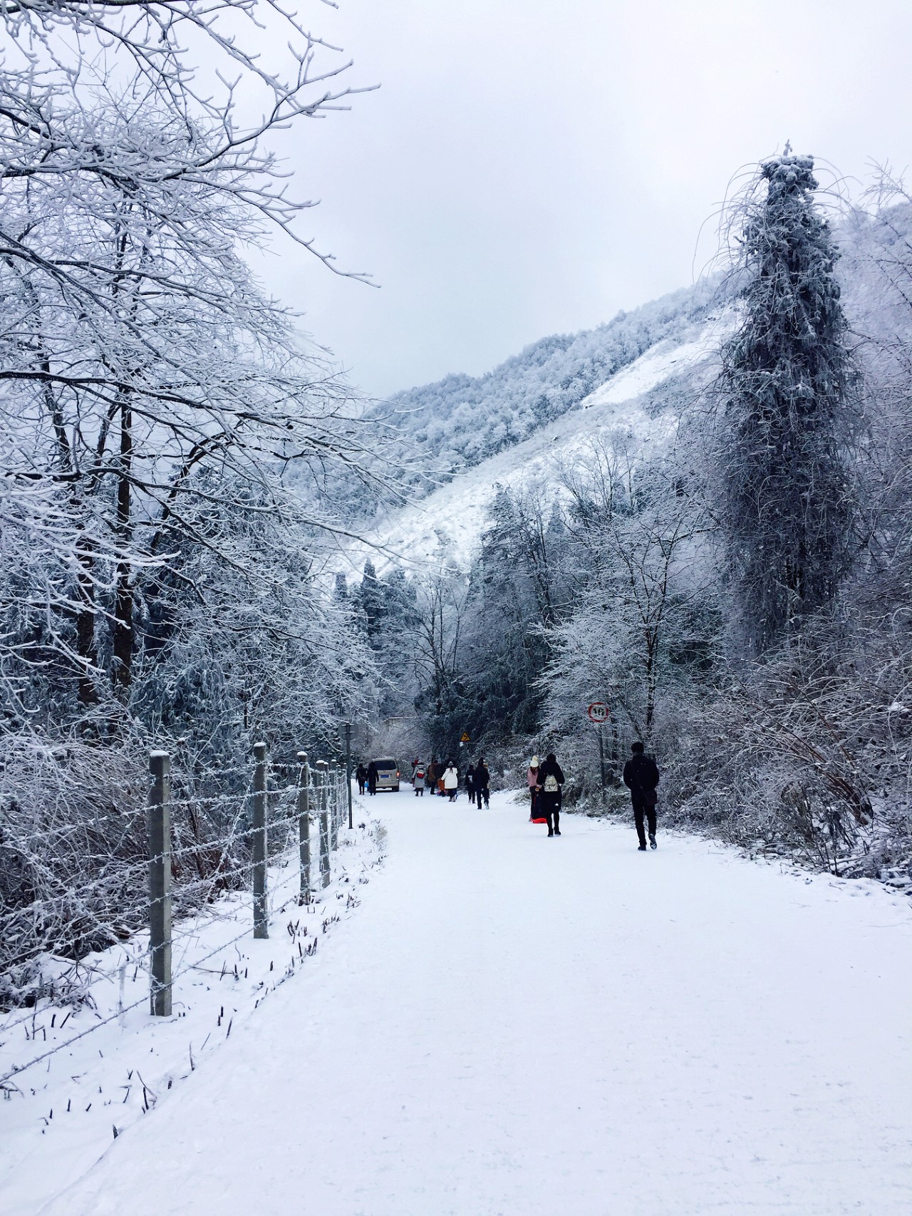 龙池雪景图片