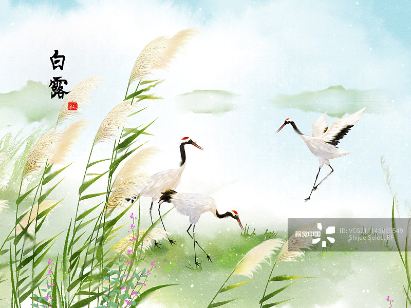 桃花溪 唐代 张旭