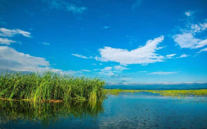 旅游四川篇,欣赏一组关于草海的图片