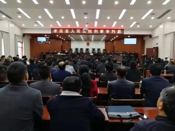 孝昌首例黑社会性质组织犯罪案件一审判决