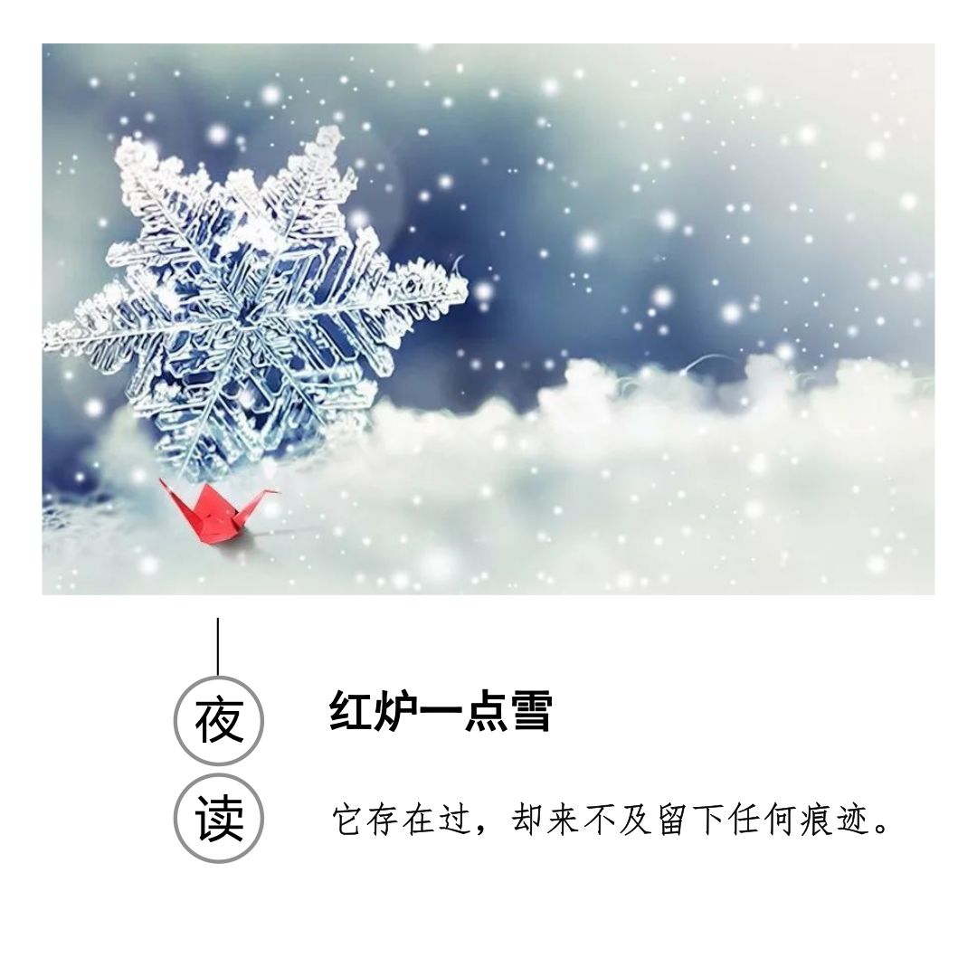 夜读| 红炉一点雪