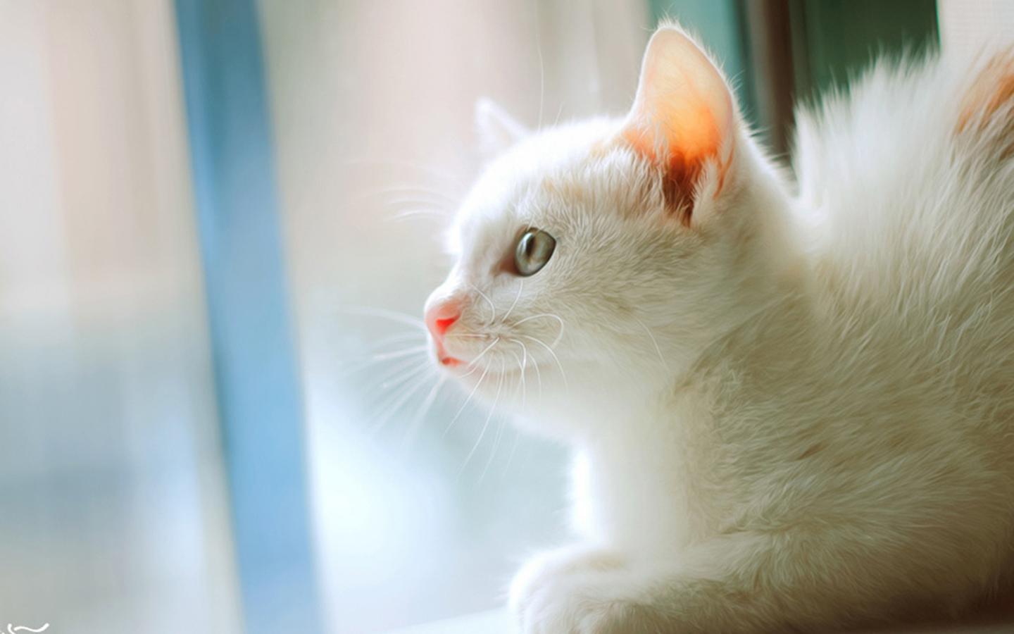 轻松一刻:冒充男友一次5万,他同意,谁知半年后