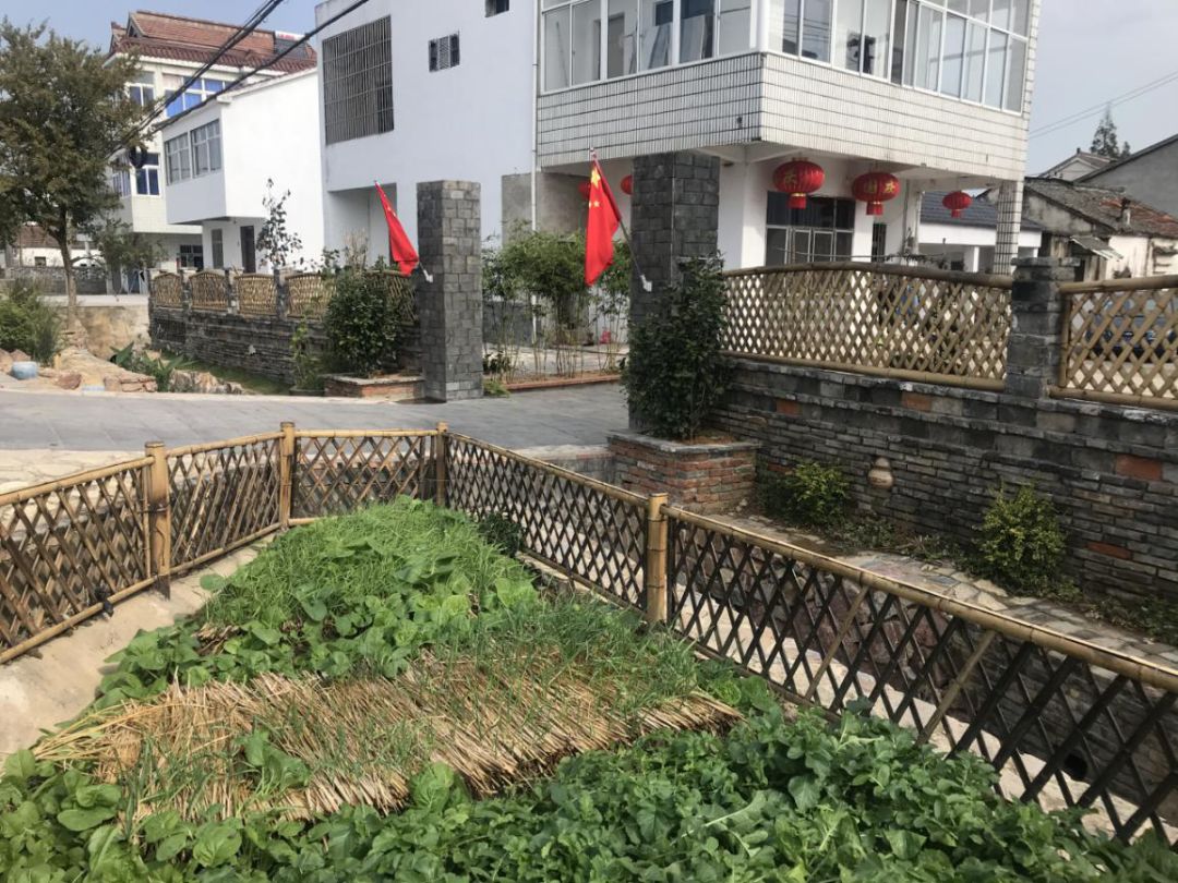 溧阳社渚镇召开"美意田园建设行动"人大代表问政会议