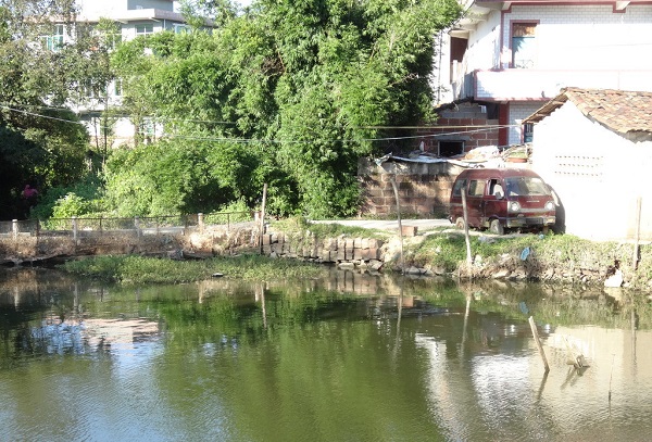 农村小池塘,没人放鱼苗却有鱼,"水过百天自生鱼",是这样吗?