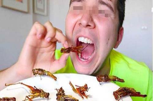 主播吃蜈蚣与壁虎后身亡,直播乱象的背后令人深思!