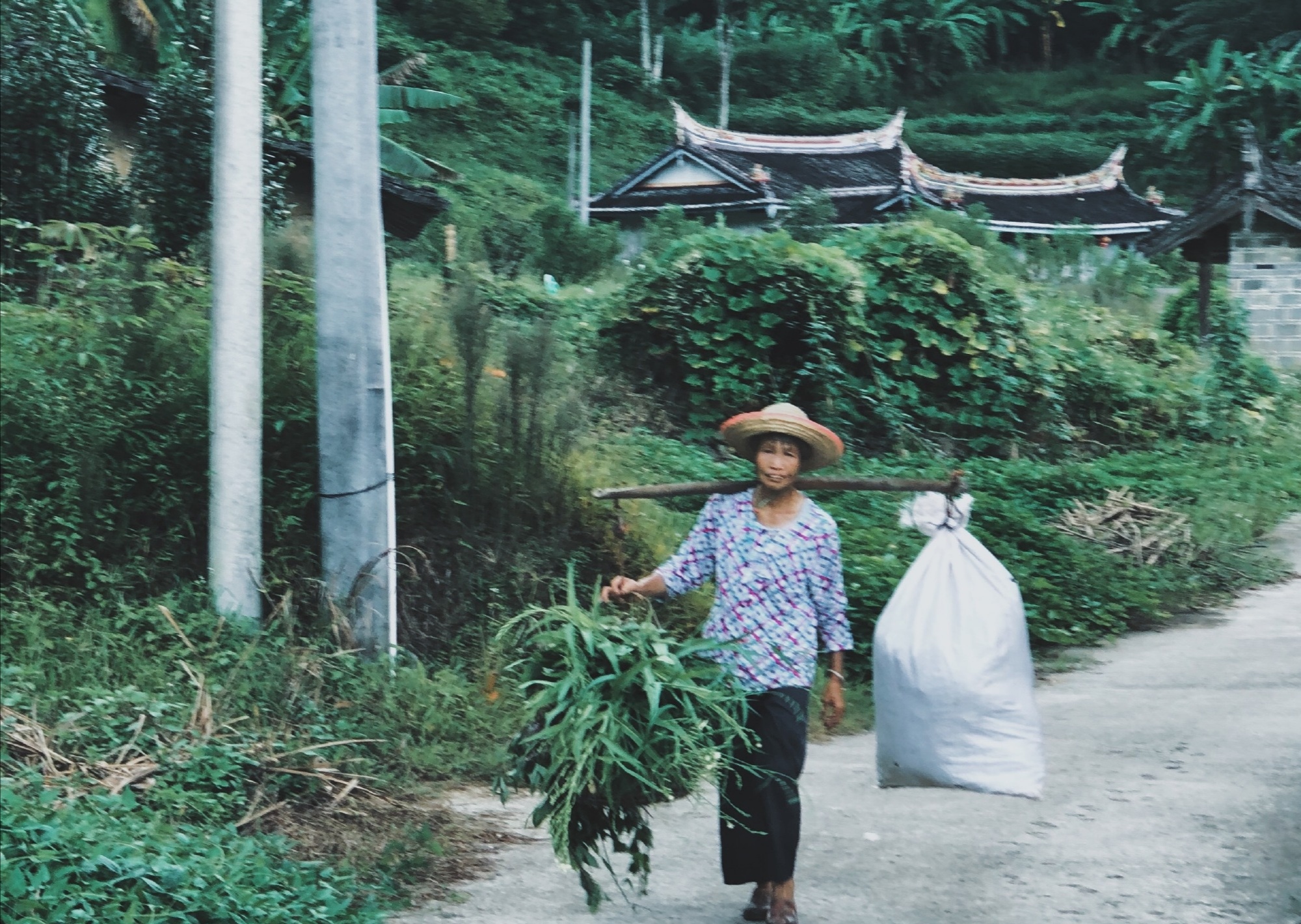 記得你穿石榴裙的模樣,在風中慢慢起舞