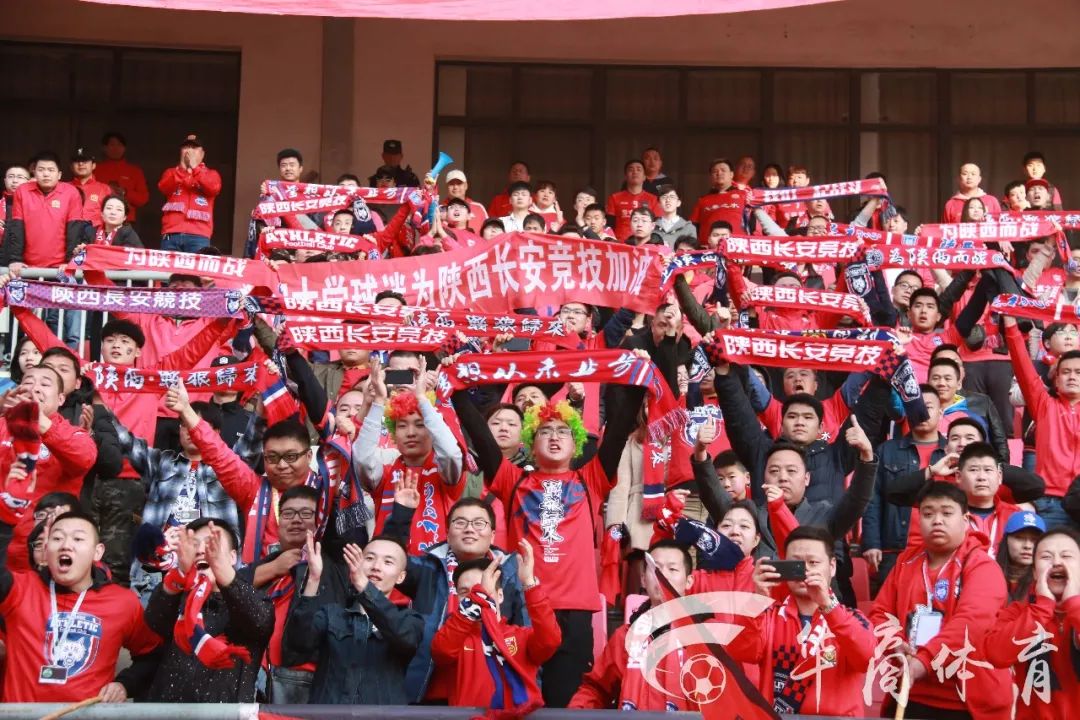 加油陕西队!加油西北狼!