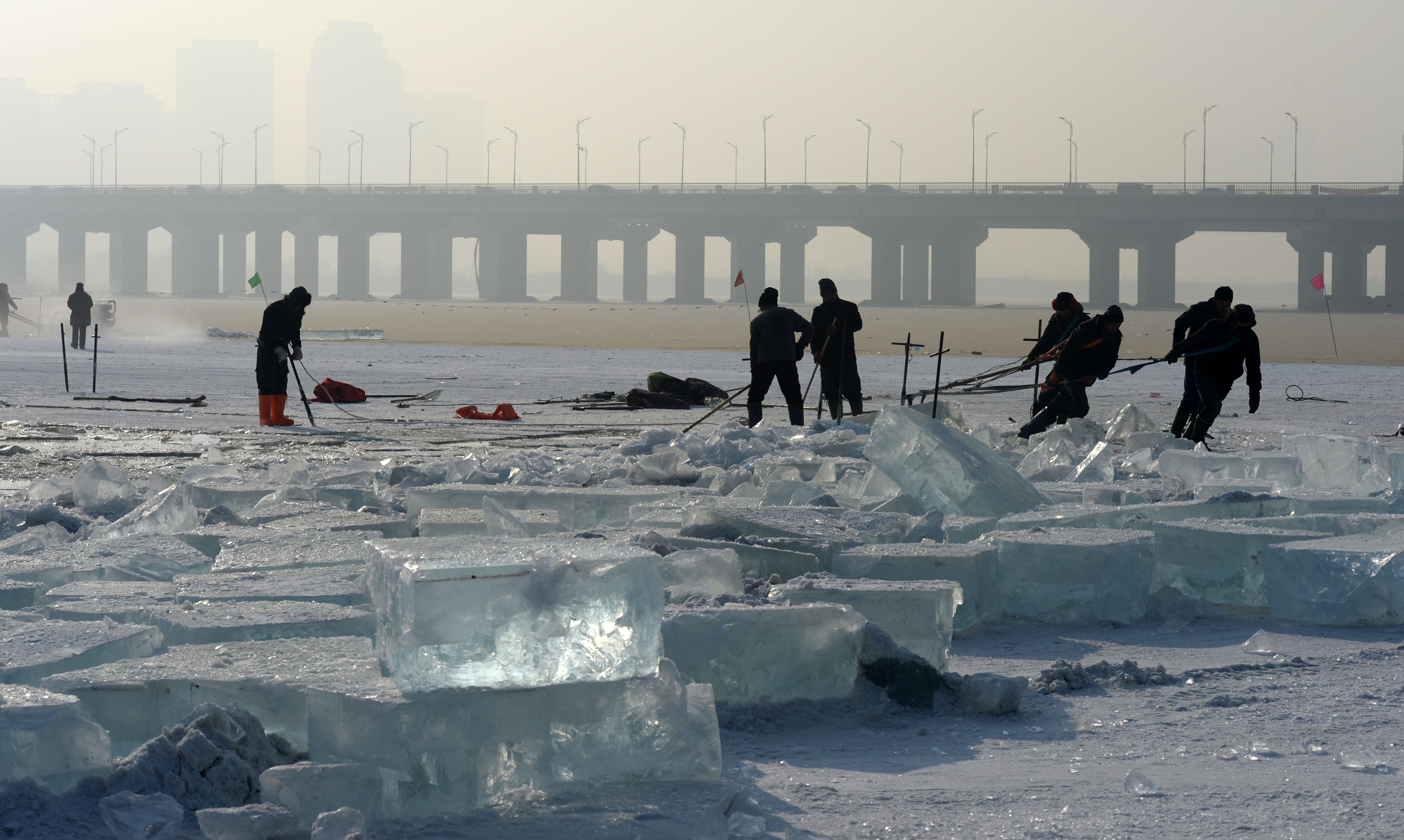 松花江上采冰忙