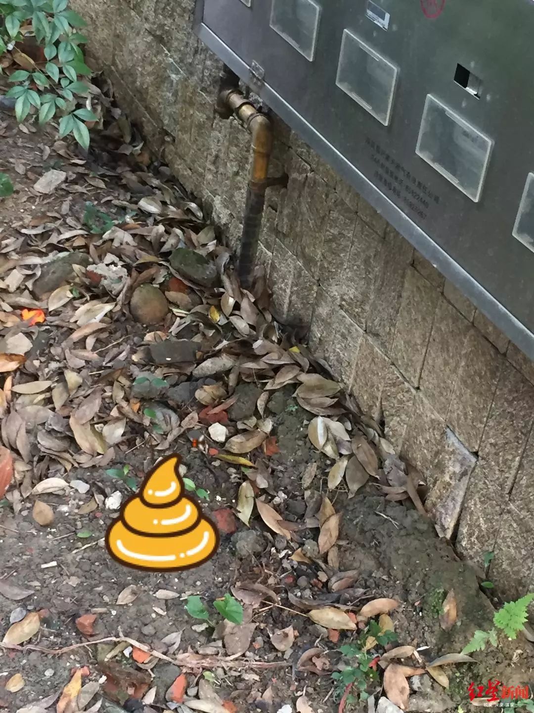 监控视频拍下恶心一幕