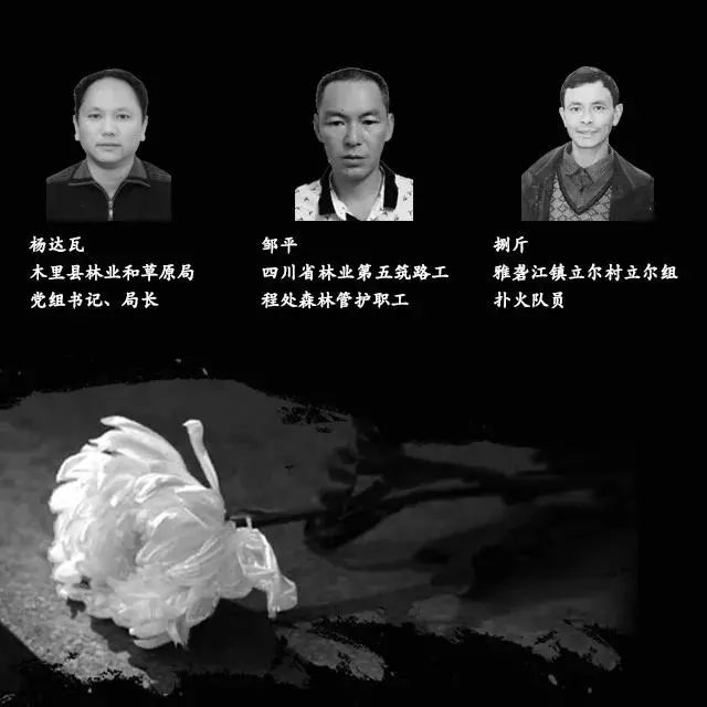 凉山消防员死亡图图片