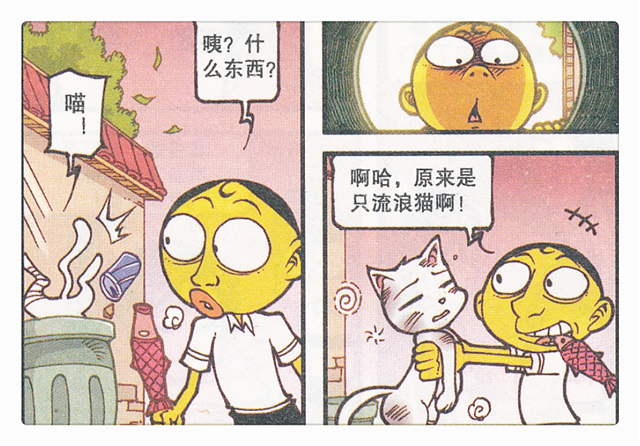 星太奇:奋豆爱心十足救助小猫咪!请来了"世界级宠物"