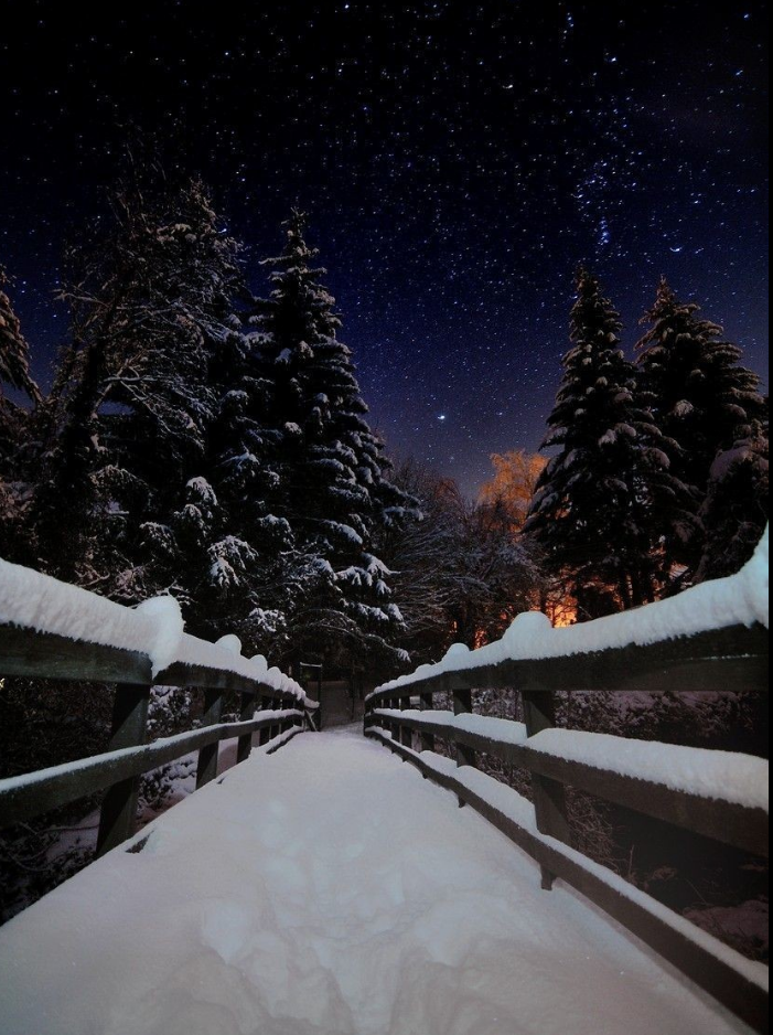 趣味測試:寒冷的冬季,你喜歡哪張雪景圖?測他會不會讓你寒心!